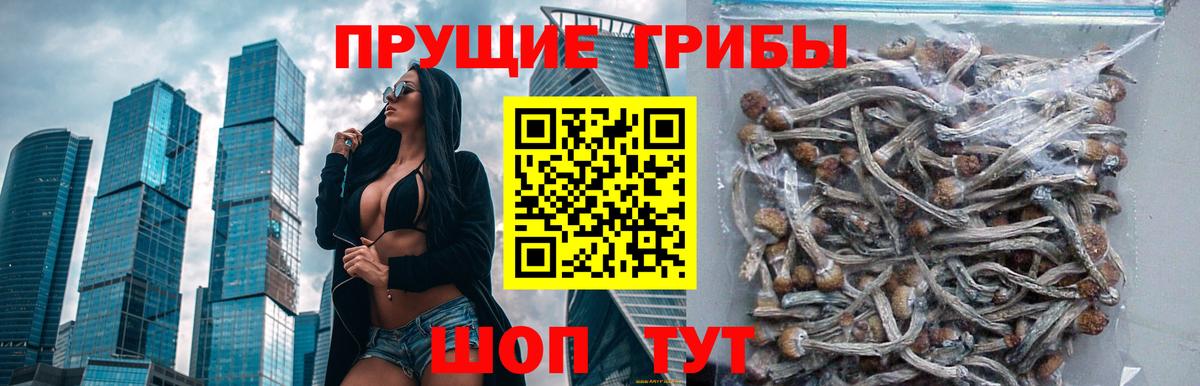 Псилоцибиновые грибы Magic Shrooms Калининград